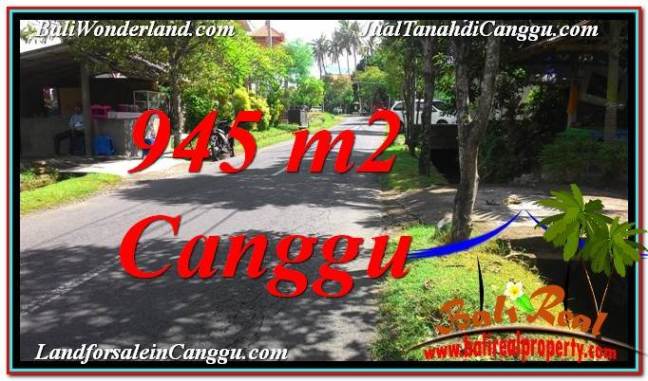 JUAL MURAH TANAH di CANGGU Untuk INVESTASI TJCG210