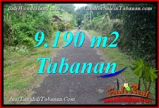 TANAH MURAH di TABANAN DIJUAL Untuk INVESTASI TJTB368